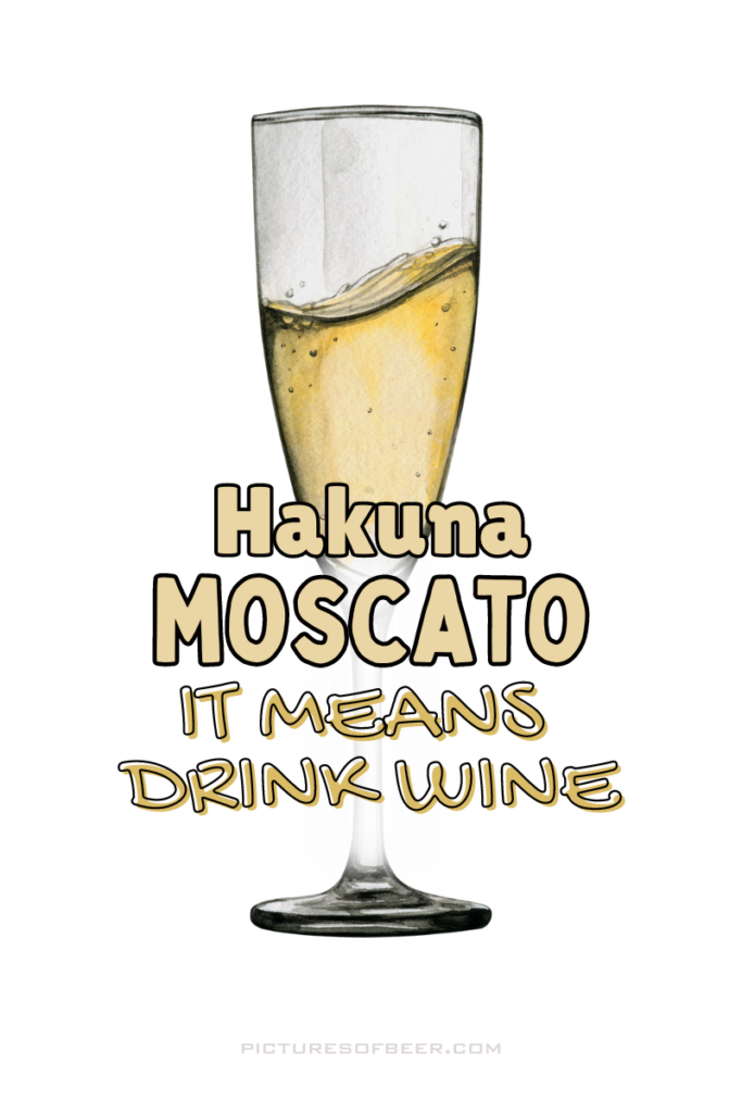 wine puns, wine meme, wine jokes, funny wine sayings