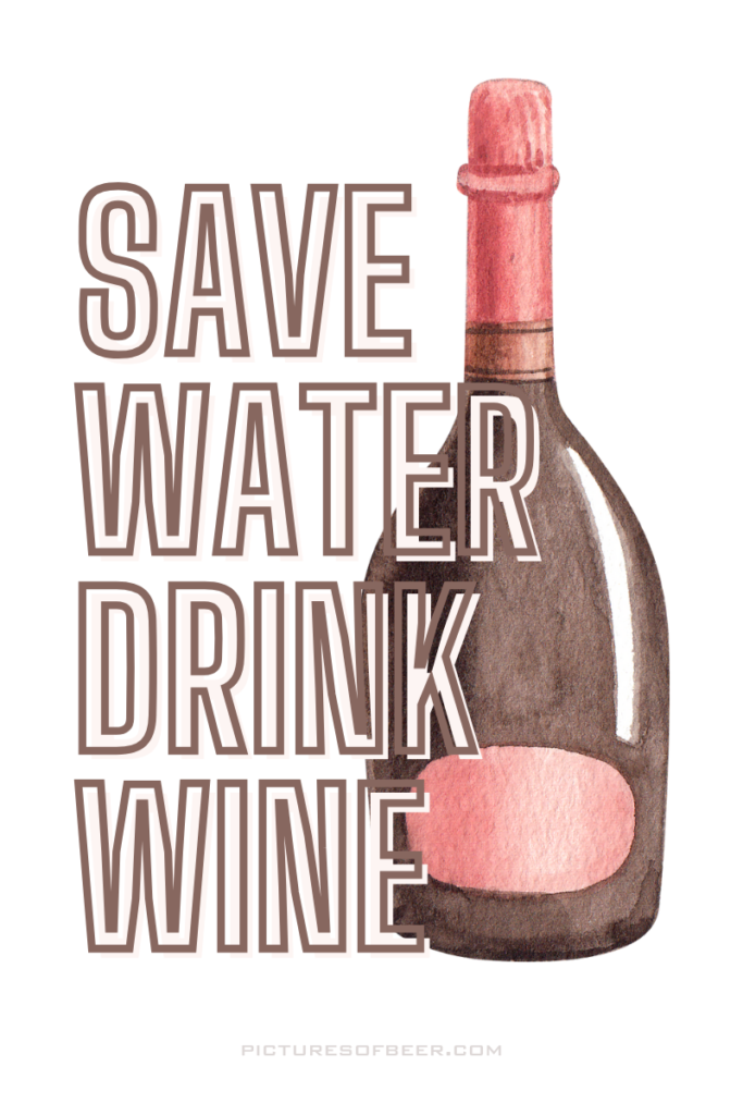 wine puns, wine meme, wine jokes, funny wine sayings