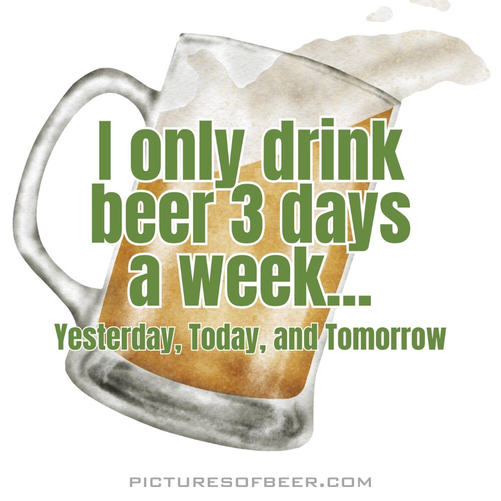Foaming beer mug with bold green and white text about drinking daily. A humorous sticker for beer lovers with a loose sense of time.